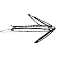 image.jpeg