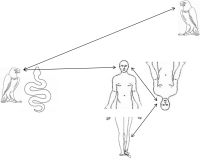 WhatIsThyDirections.png