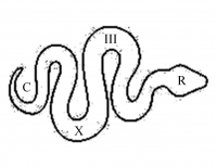 THERULE[]....png