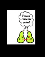 image.jpeg
