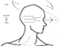 color.png
