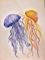 IMG_2916.jpeg